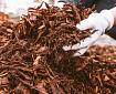 Development of an AI agent for counterparty document verification for an international tobacco manufacturer