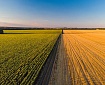 Syngenta
