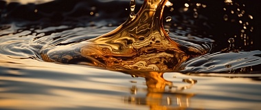 Российская крупная нефтегазовая компания