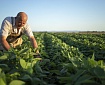 Syngenta company