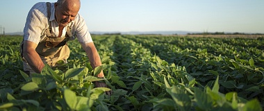 Migrating IT infrastructure to the cloud for Syngenta