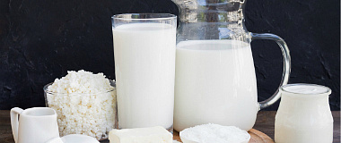 Global Group of Food & Dairy Companies