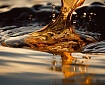 A major Russian oil and gas company
