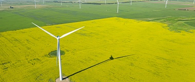 A Major Energy Corporate Group